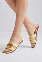 Lade das Bild in den Galerie-Viewer, PANTOLETTE `Parisienne´, citrus
