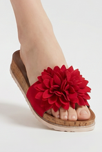 Lade das Bild in den Galerie-Viewer, PANTOLETTE `Flower´, rot