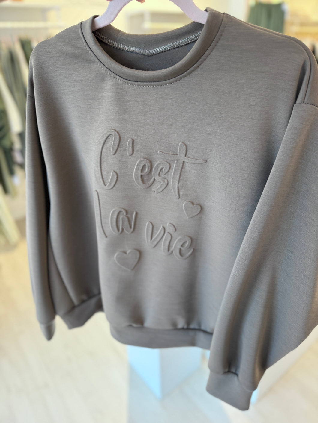 PULLOVER Sweater `C`est la vie´, taupe